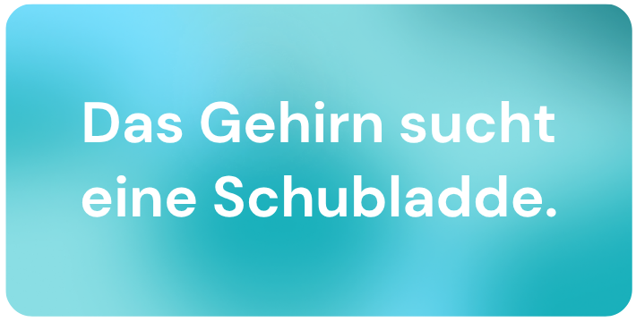 Blogbild Das Gehirn sucht.